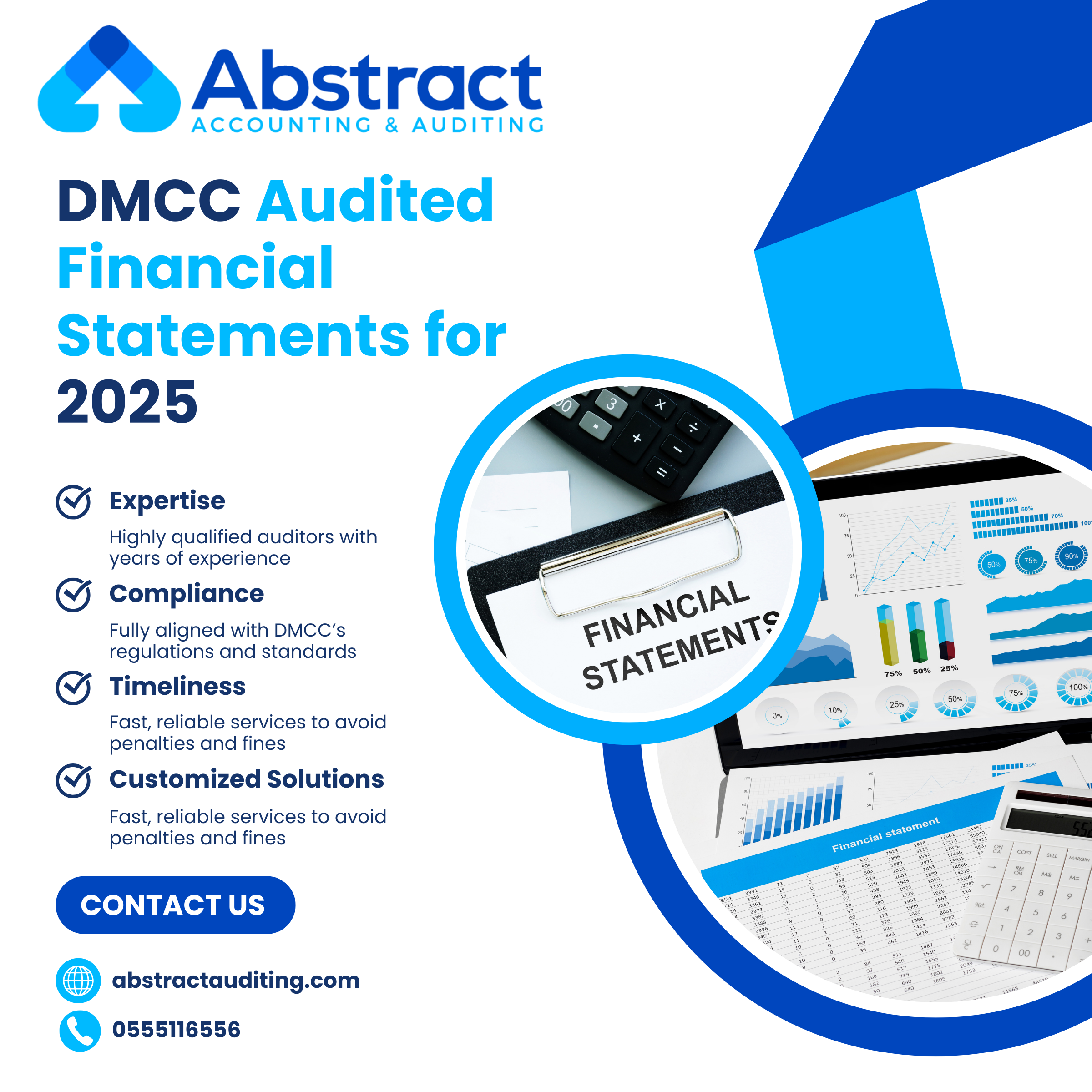 DMCC Audit Financial Statements